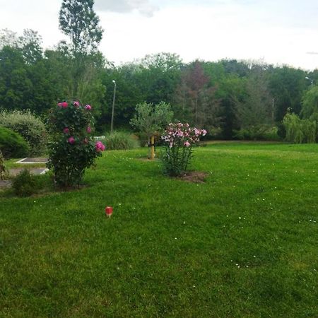 Chambre Avec Entree Independante Dans Un Ecrin De Verdure Dommartin  Luaran gambar